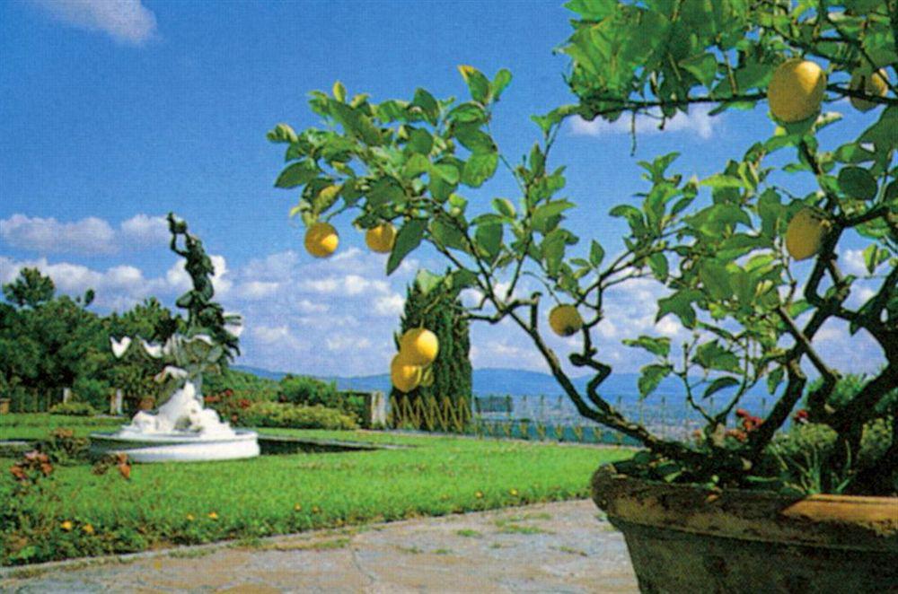 Hotel Villa Le Rondini Florença Exterior foto